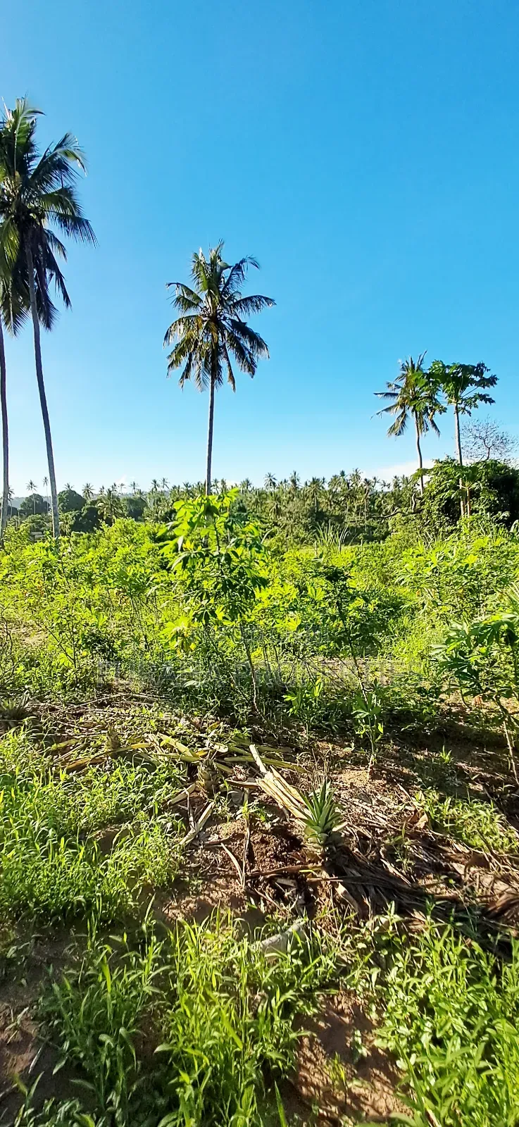For Sale 1 Acre Prime Land Kwale