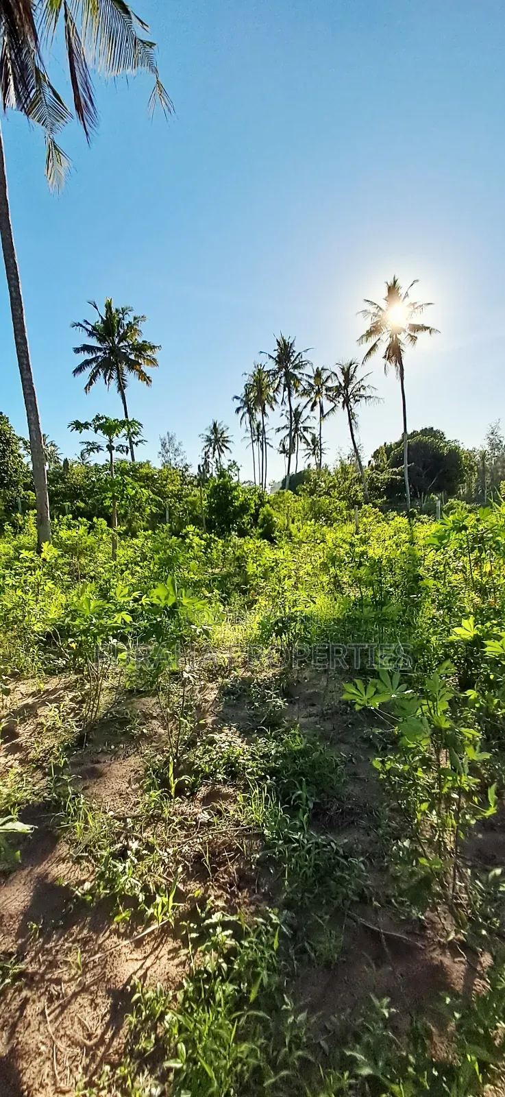 For Sale 1 Acre Prime Land Kwale