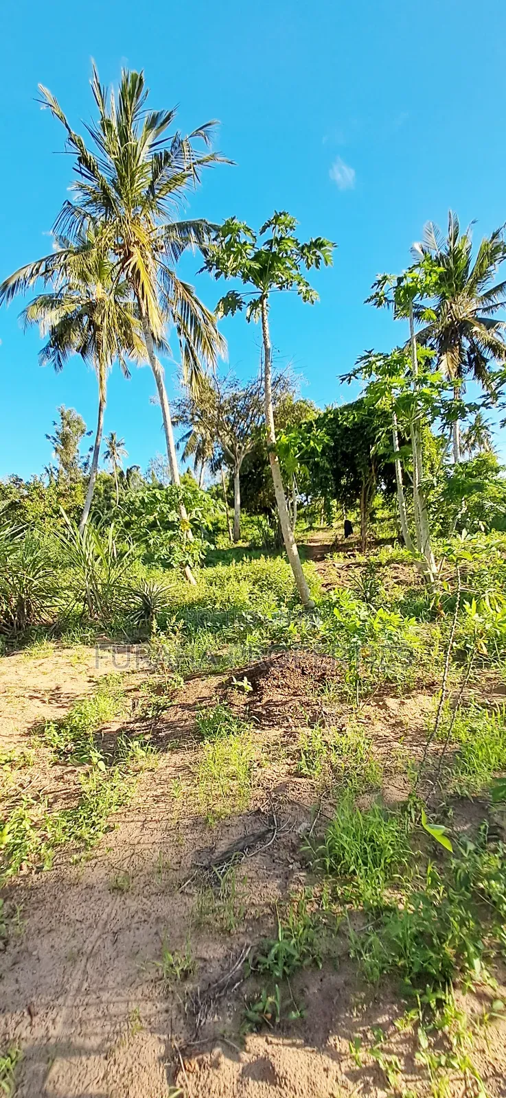 For Sale 1 Acre Prime Land Kwale