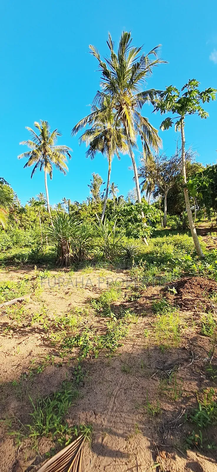 For Sale 1 Acre Prime Land Kwale