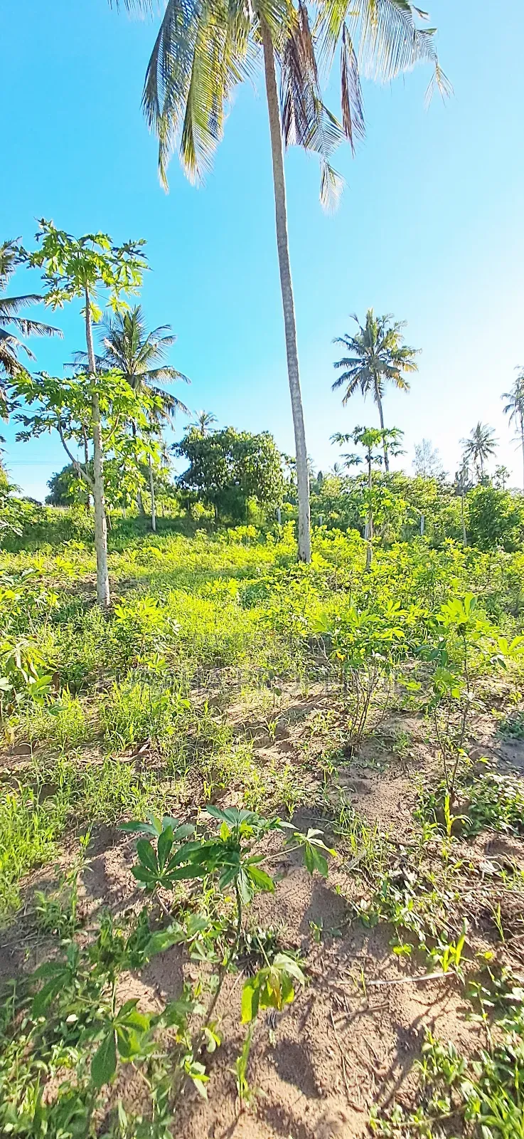 For Sale 1 Acre Prime Land Kwale
