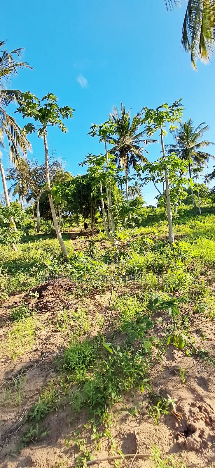 For Sale 1 Acre Prime Land Kwale