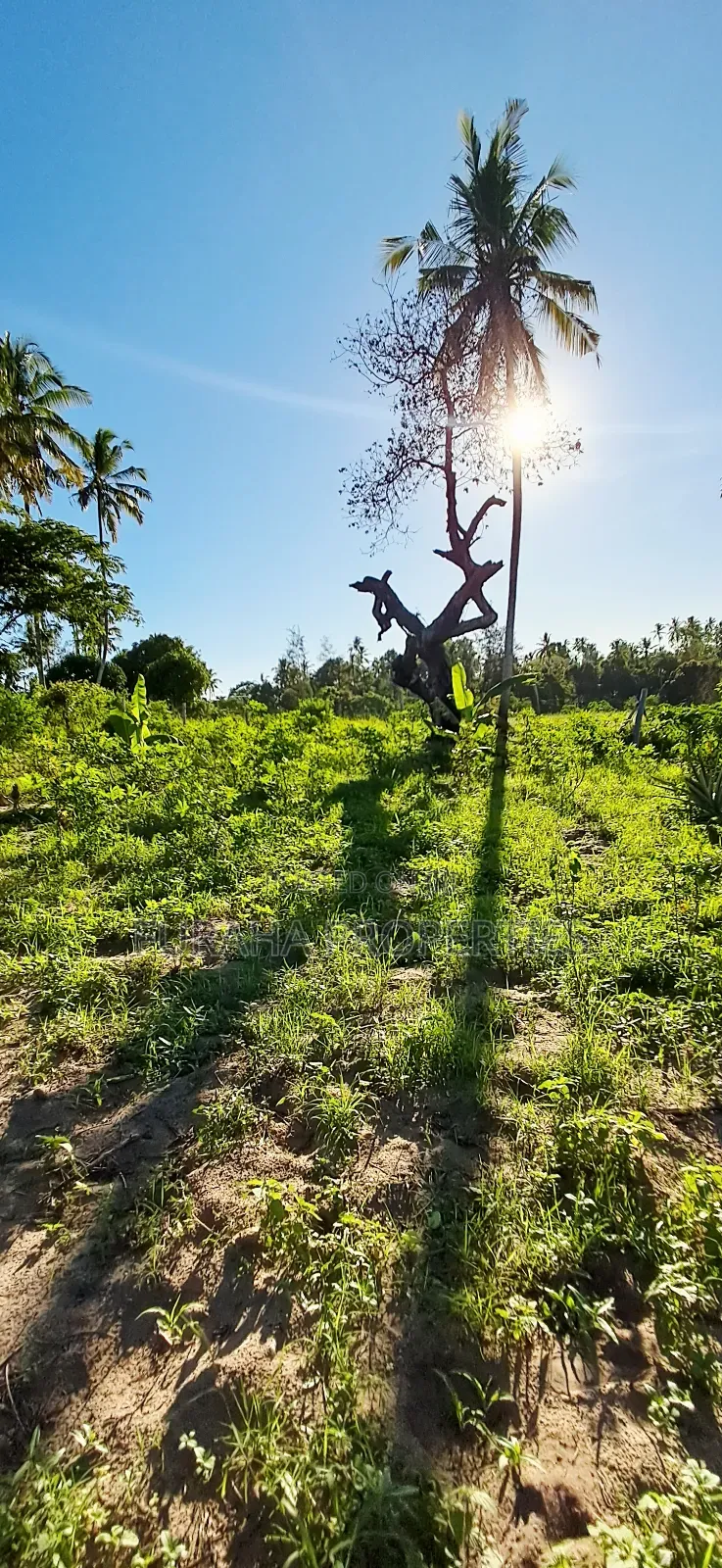 For Sale 1 Acre Prime Land Kwale