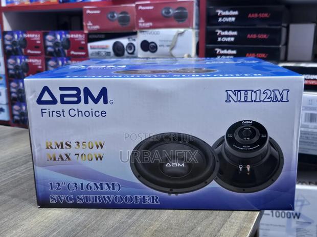 12 Inch 700watts Abm Nh12m Powerful Bass Subwoofer