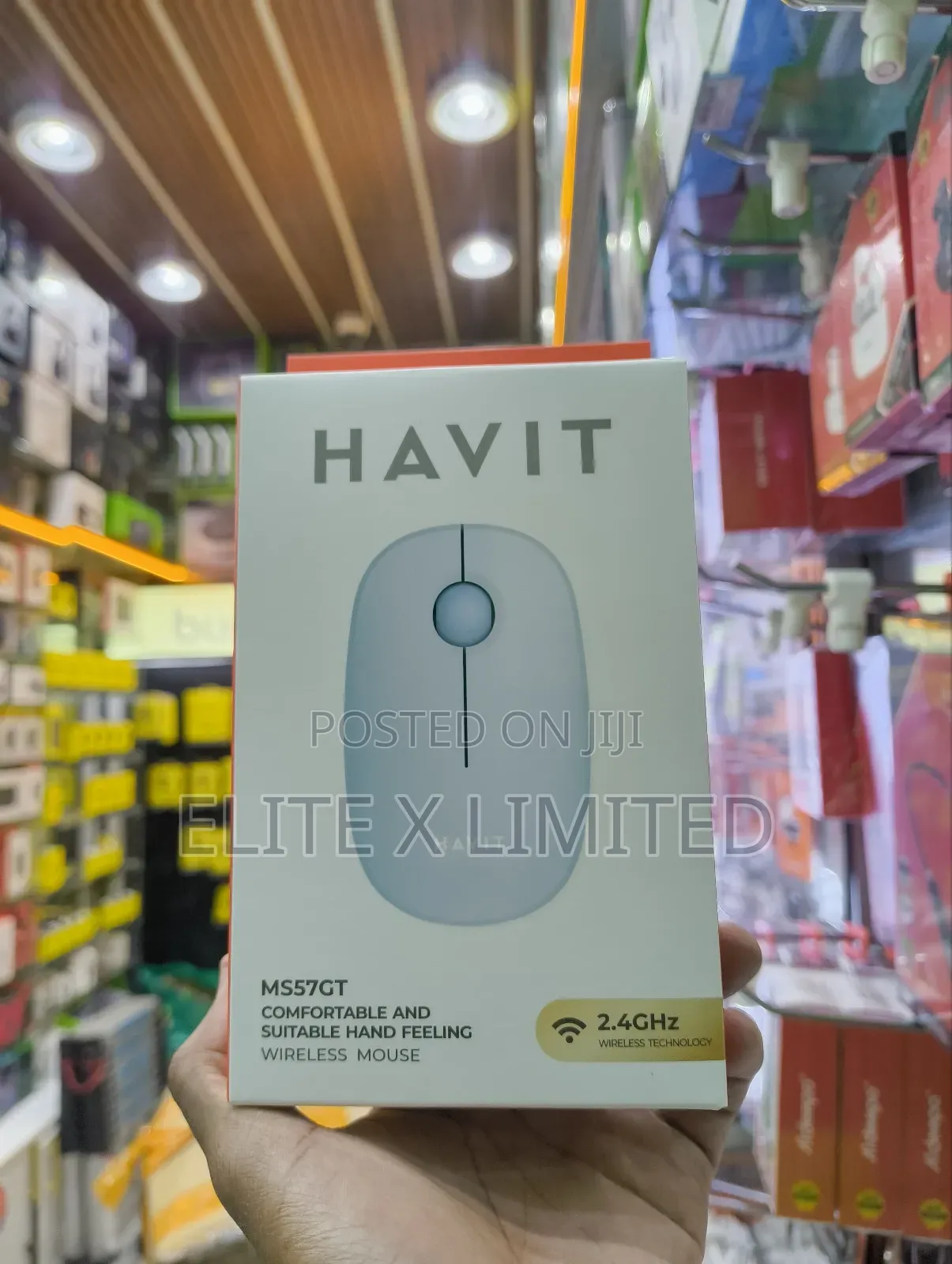 Havit Wireless Mouse Ms57gt