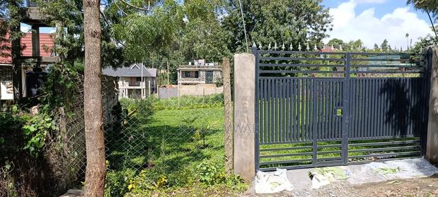 Kikuyu Plos for Sale (Thamanda)