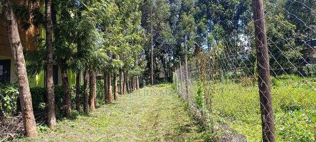 Kikuyu Plos for Sale (Thamanda) - thumbnail 5