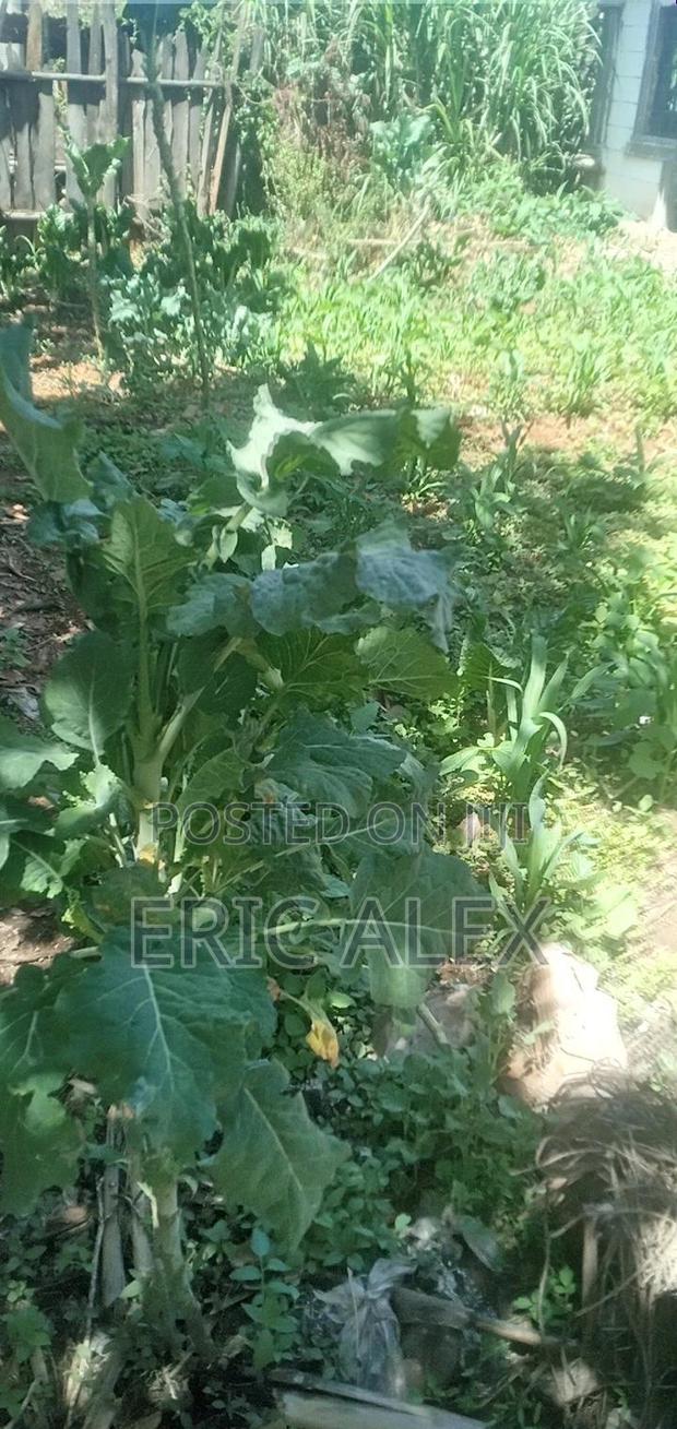 Land for Sale Eldoret Cbd,1/4acre