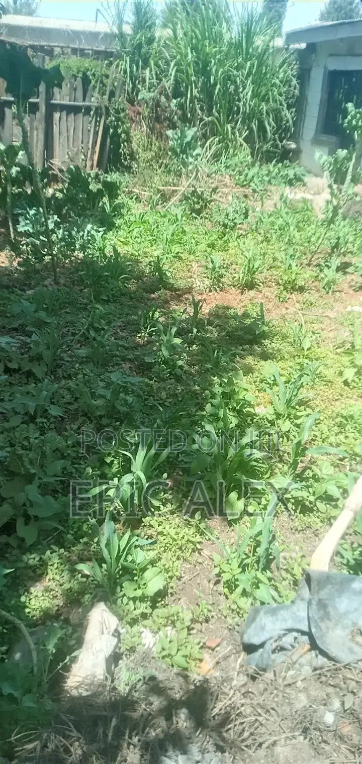 Land for Sale Eldoret Cbd,1/4acre
