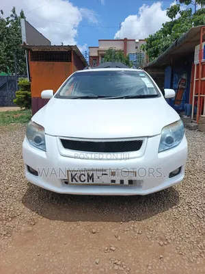 Toyota Corolla Fielder 2010 White