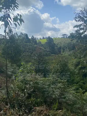 25 Acres Ripe Land for Sale in Riara Ridge