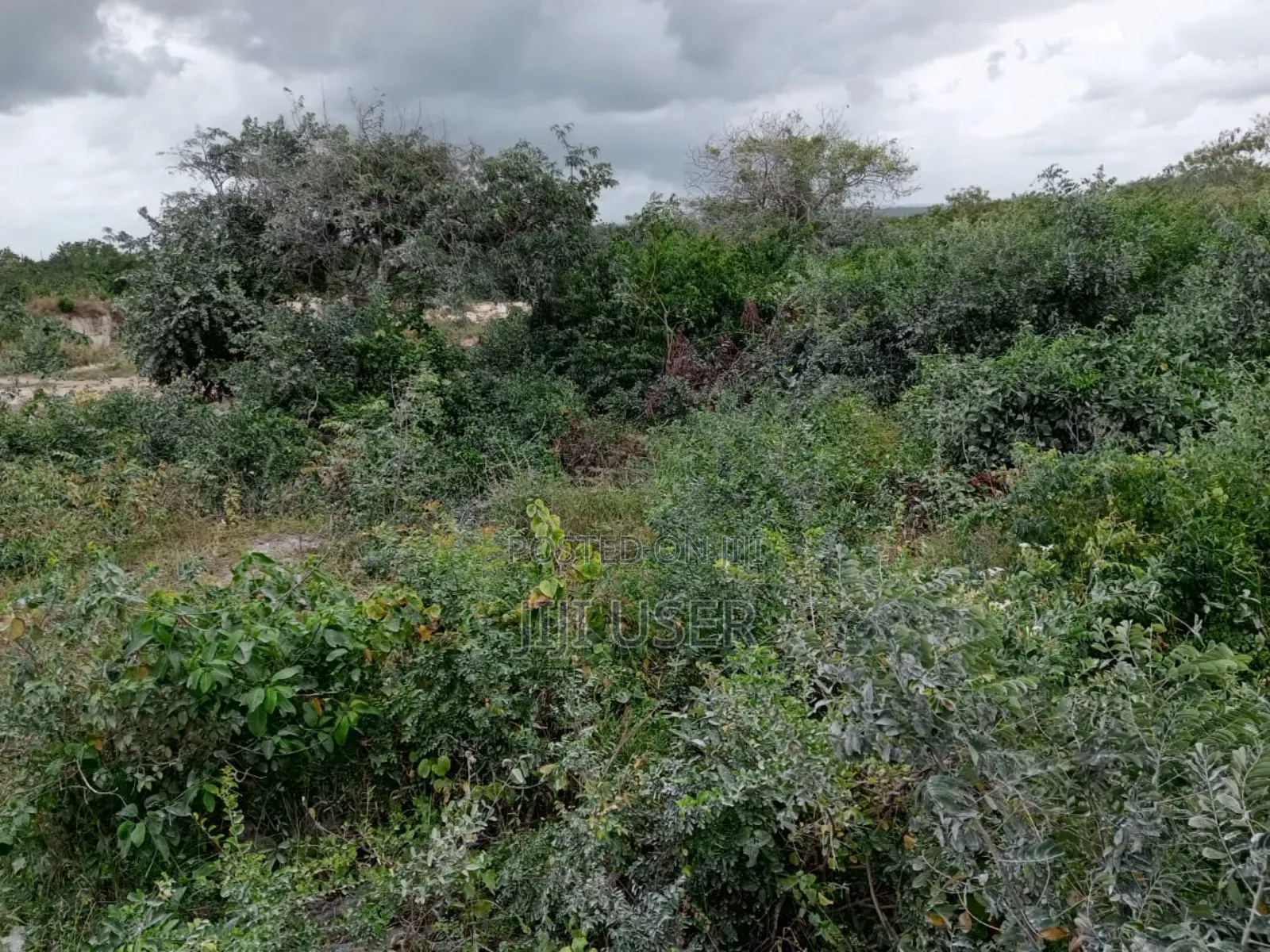 Quarter Acre Beach Plot for Sale