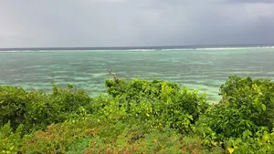 Quarter Acre Beach Plot for Sale