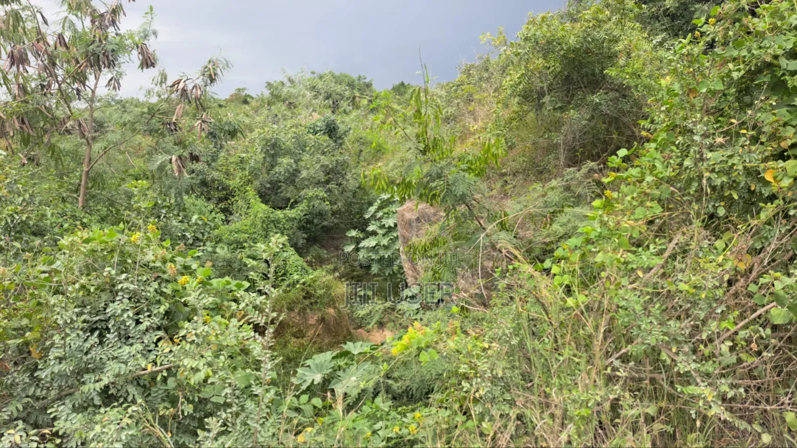 Quarter Acre Beach Plot for Sale
