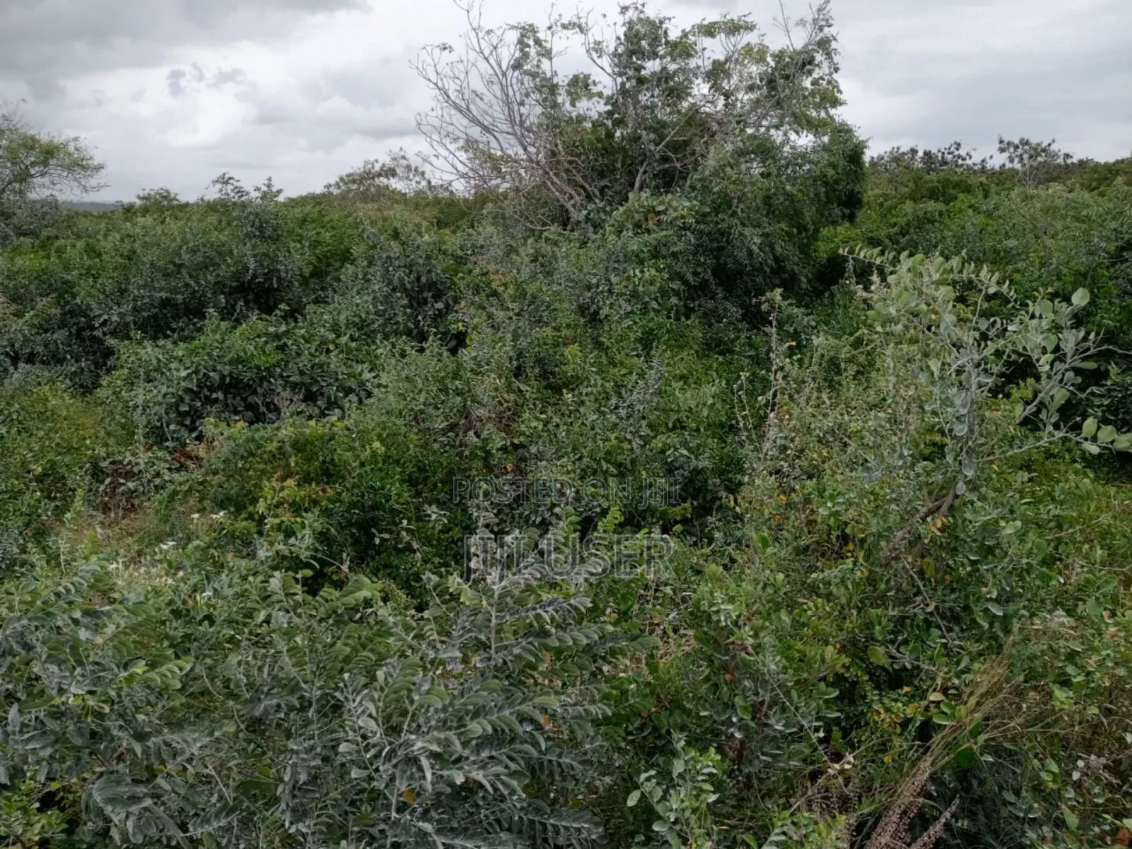 Quarter Acre Beach Plot for Sale