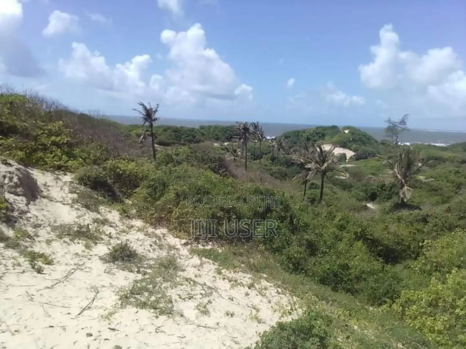 Quarter Acre Beach Plot for Sale