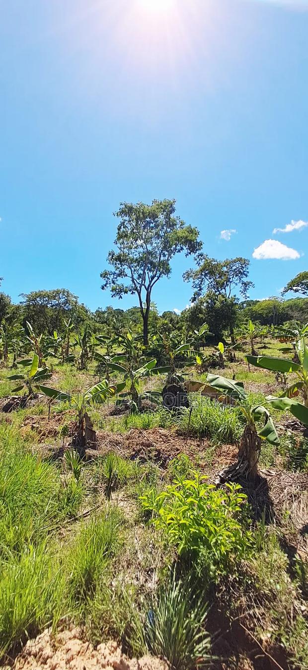 For Sale 12 Acres Land Msambweni - main view