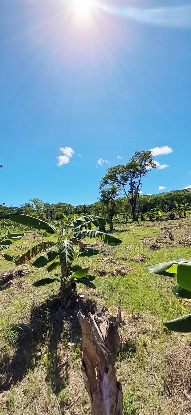 For Sale 12 Acres Land Msambweni - thumbnail 3