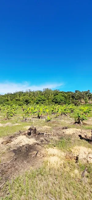 For Sale 12 Acres Land Msambweni