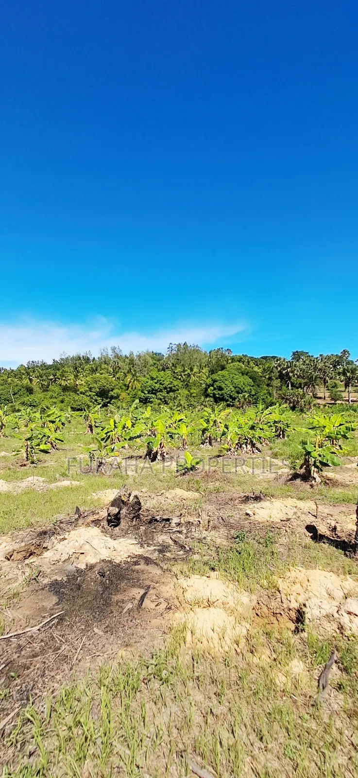 For Sale 12 Acres Land Msambweni
