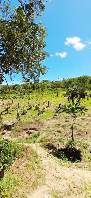 For Sale 12 Acres Land Msambweni