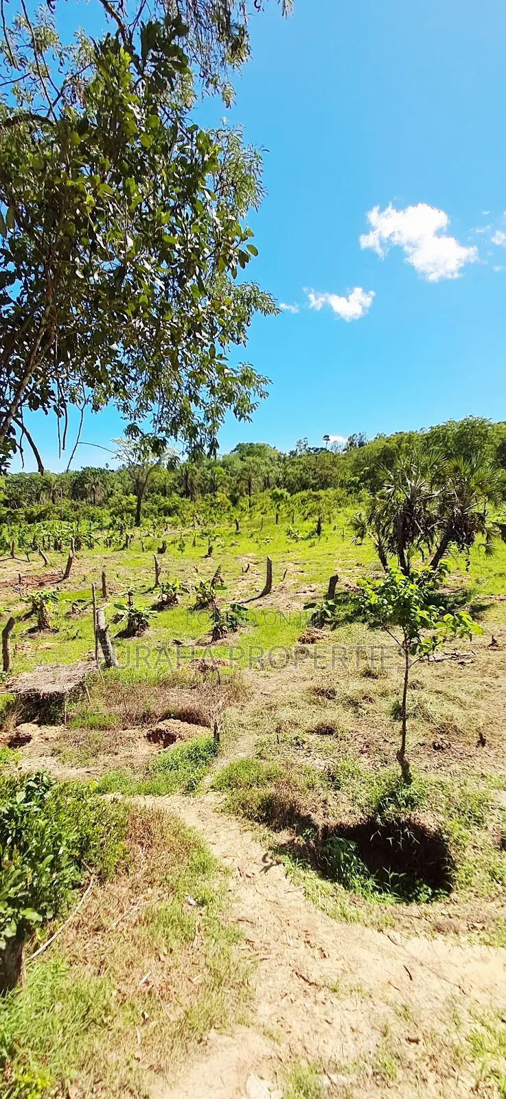 For Sale 12 Acres Land Msambweni