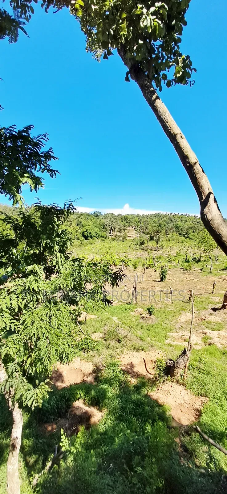 For Sale 12 Acres Land Msambweni