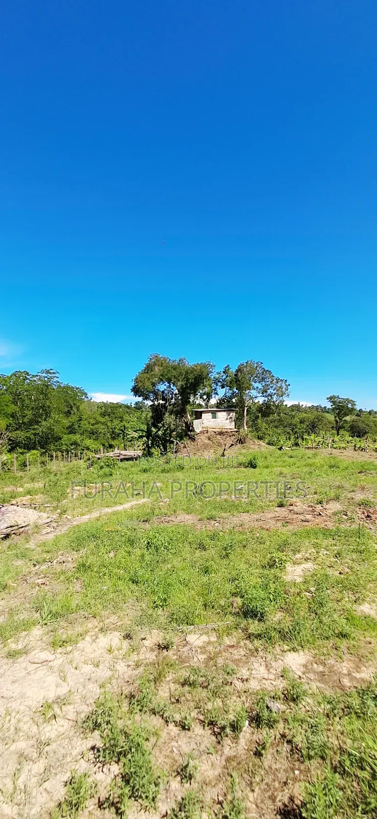 For Sale 12 Acres Land Msambweni