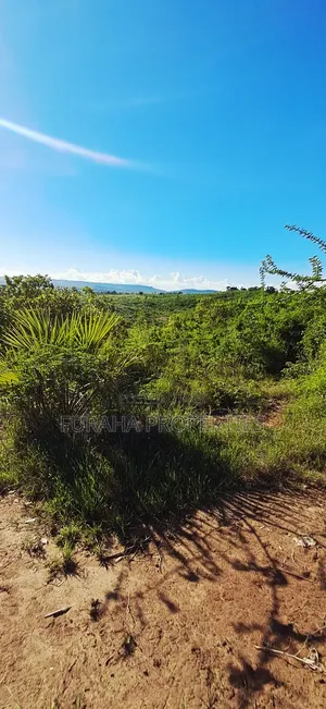 For Sale 4 Acres for Sale Kwale