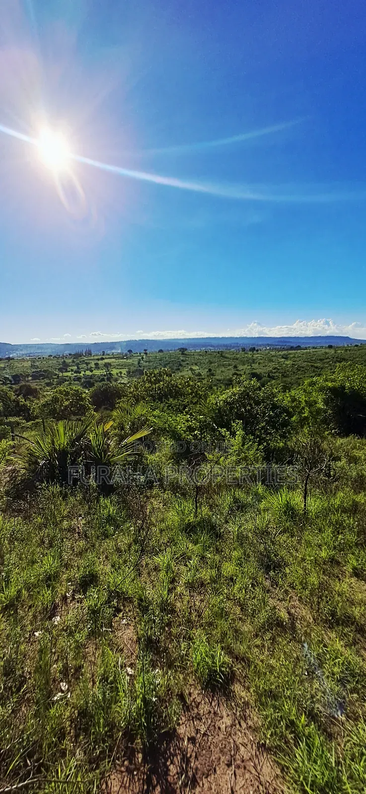 For Sale 4 Acres for Sale Kwale