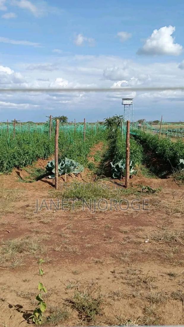 50 by 100 Plots for Sale in Rumuruti Posta Town