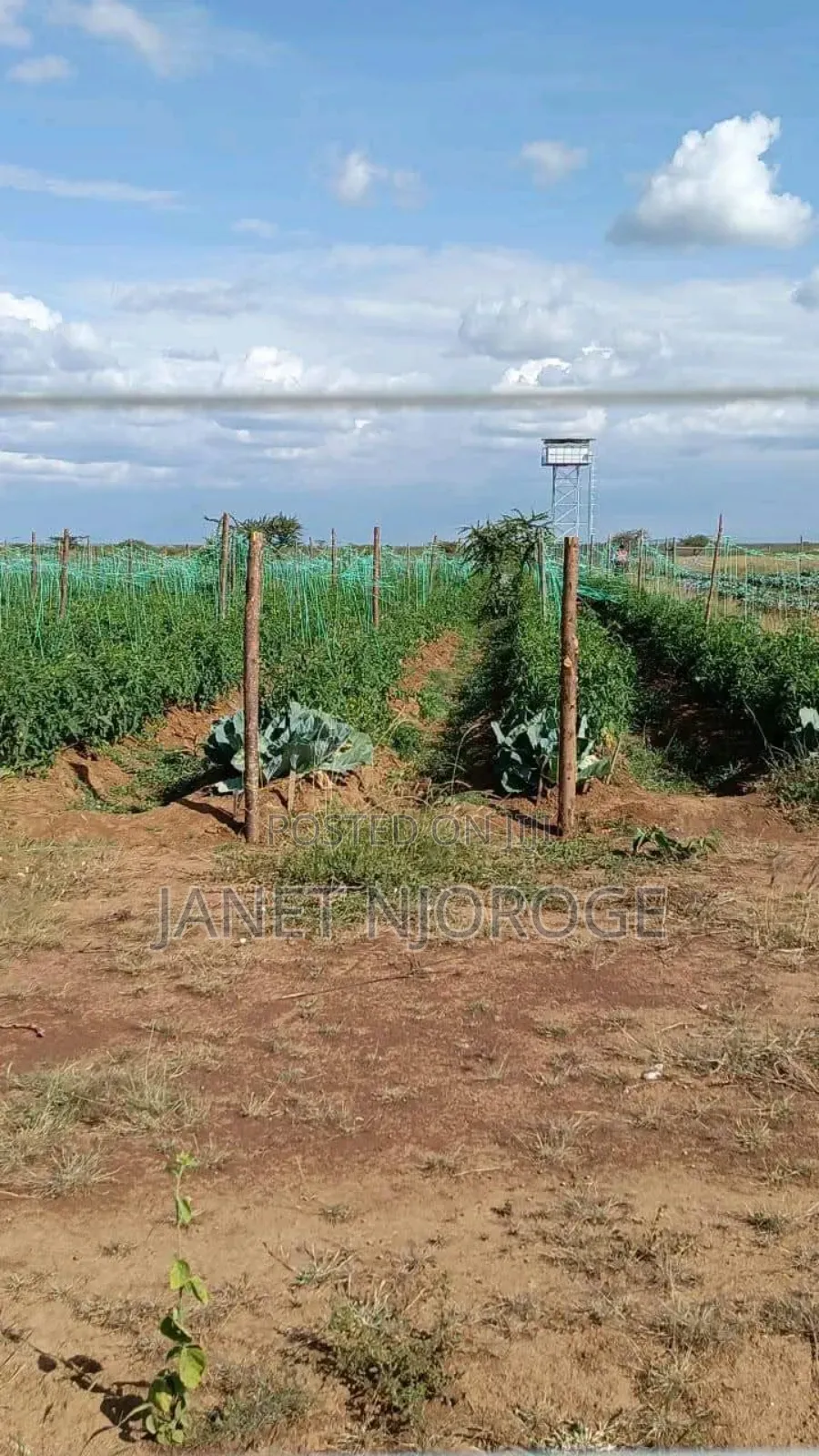 50 by 100 Plots for Sale in Rumuruti Posta Town