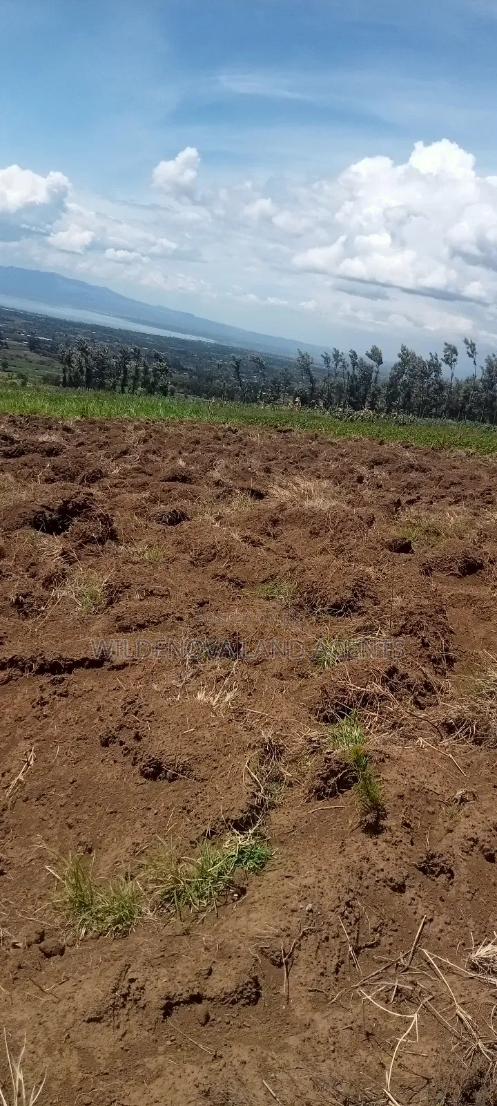 Land on Sale at Naivasha