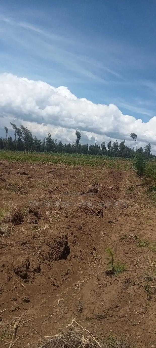 Land on Sale at Naivasha - thumbnail 2