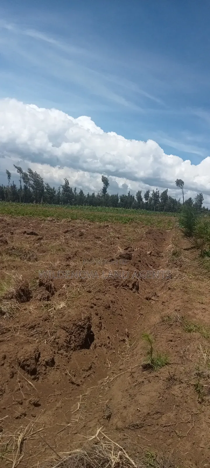 Land on Sale at Naivasha