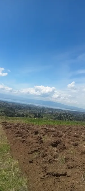 Land on Sale at Naivasha