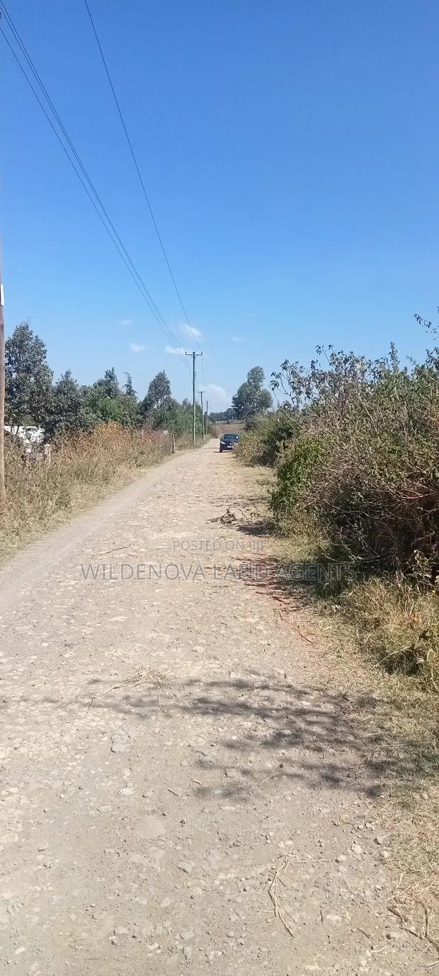Land on Sale at Naivasha - thumbnail 5