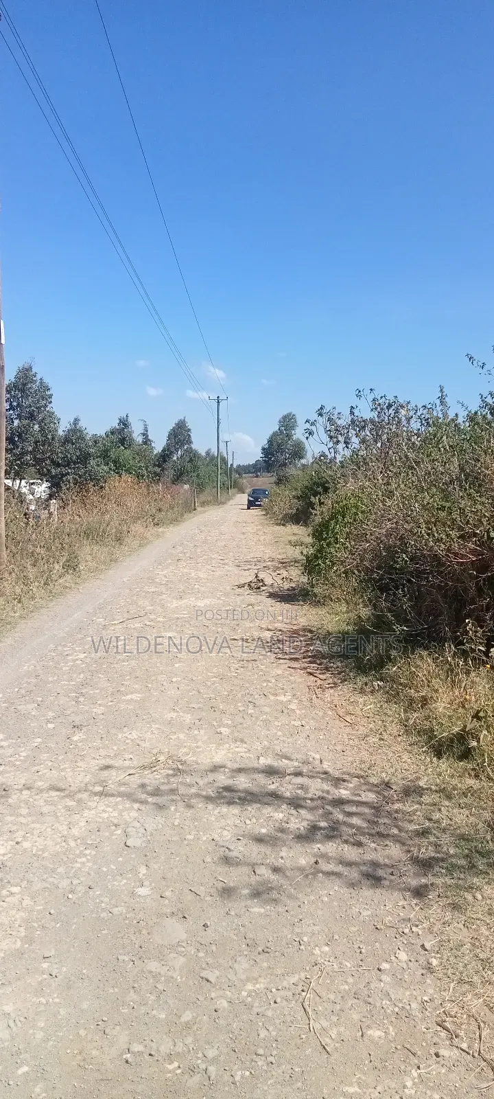Land on Sale at Naivasha