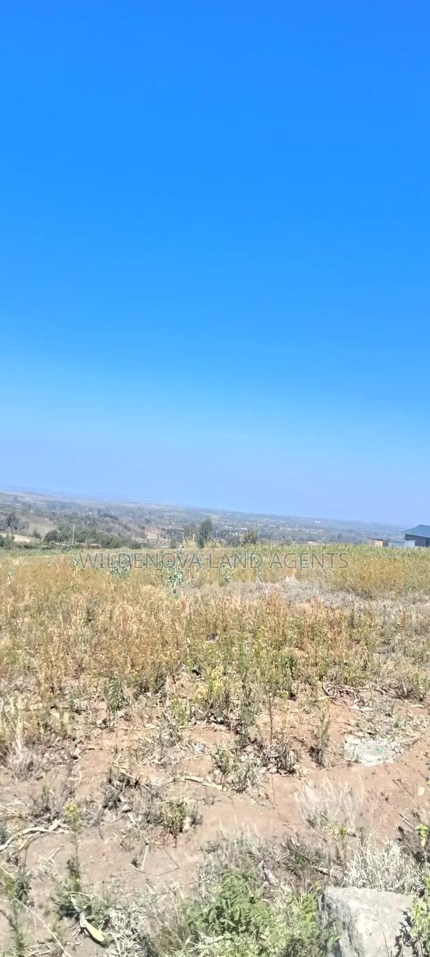 Land on Sale at Naivasha - thumbnail 6