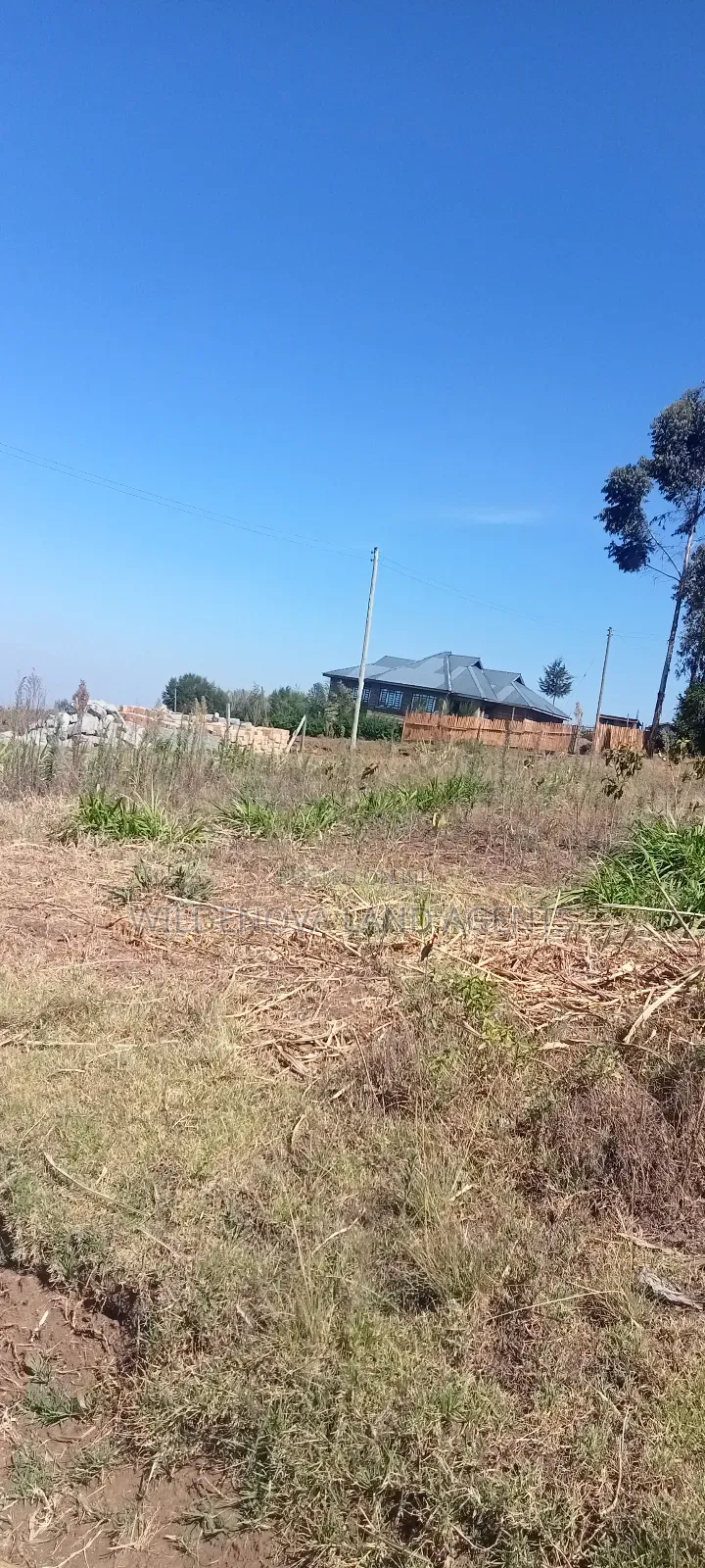 Land on Sale at Naivasha