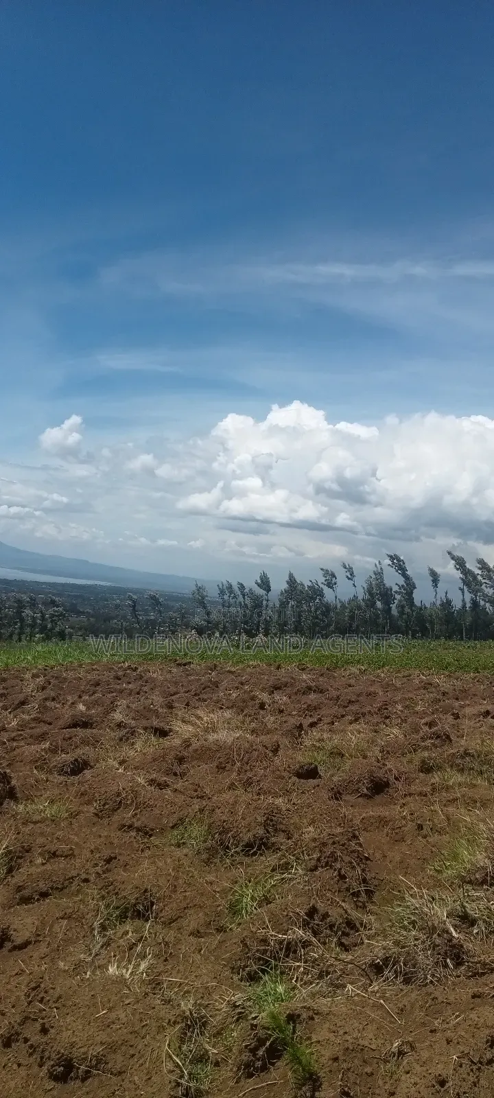 Land on Sale at Naivasha