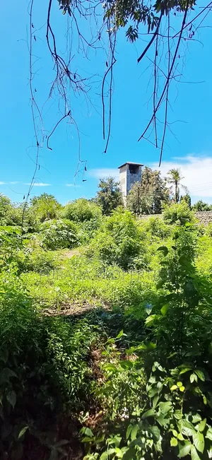 For Sale 3/4 Acre Commercial Land Diani