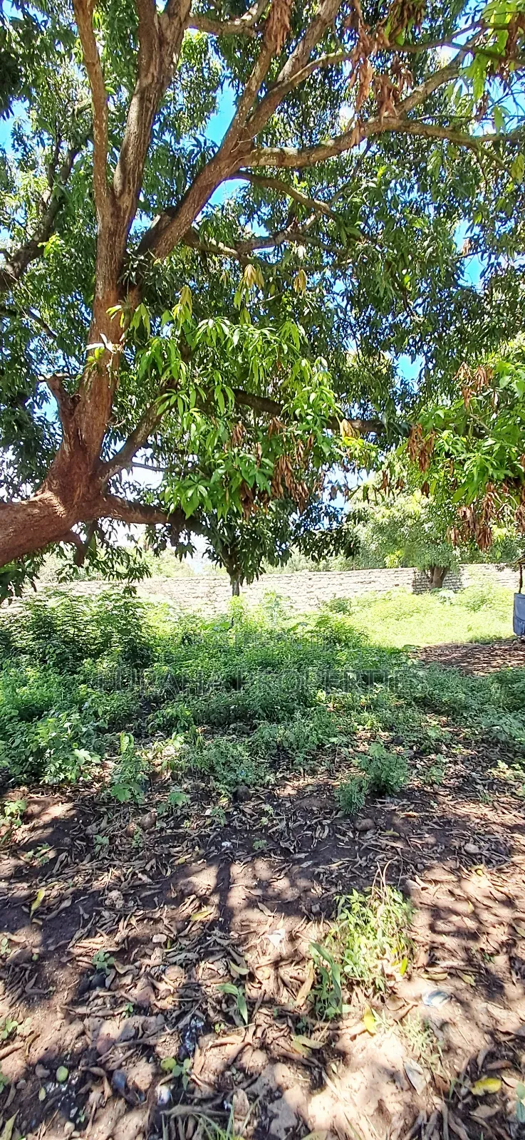 For Sale 3/4 Acre Commercial Land Diani