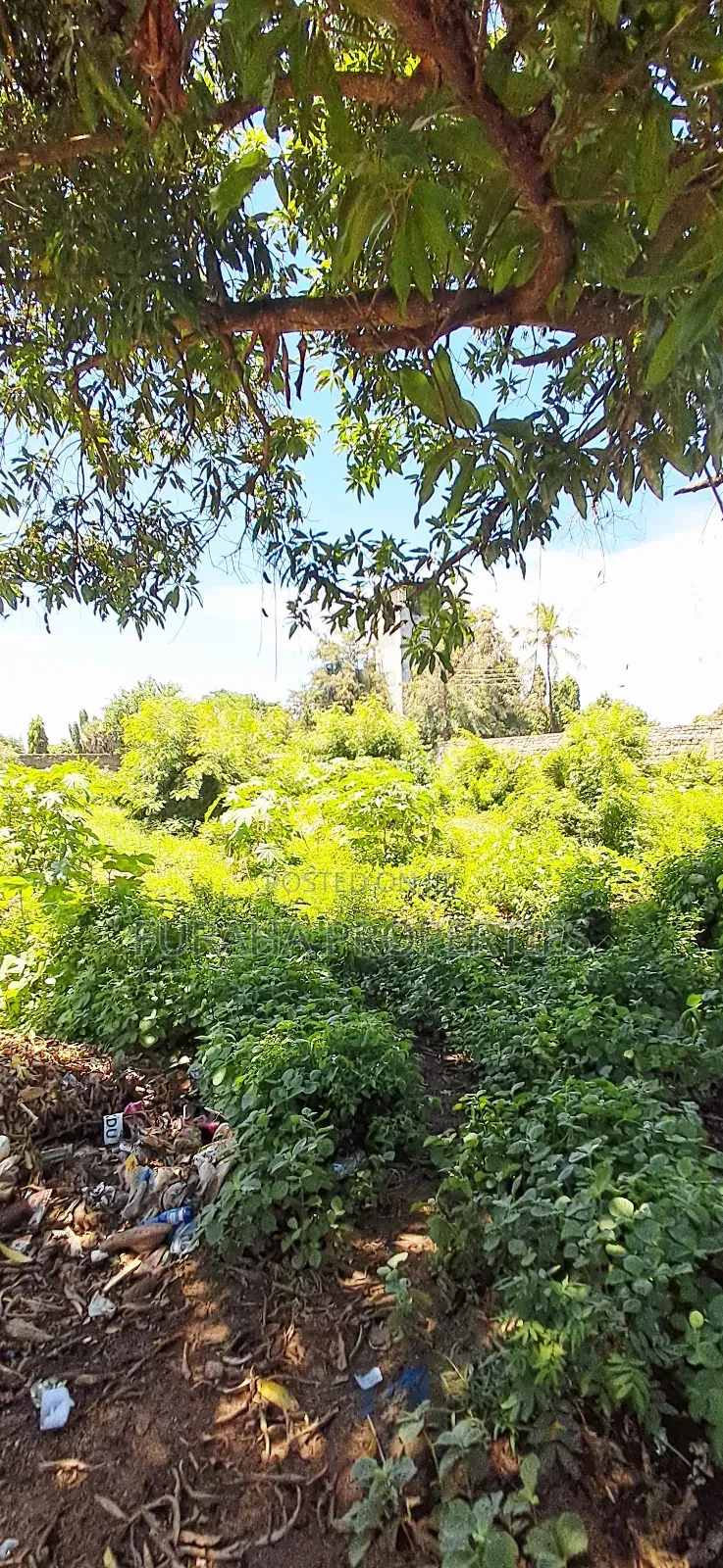 For Sale 3/4 Acre Commercial Land Diani