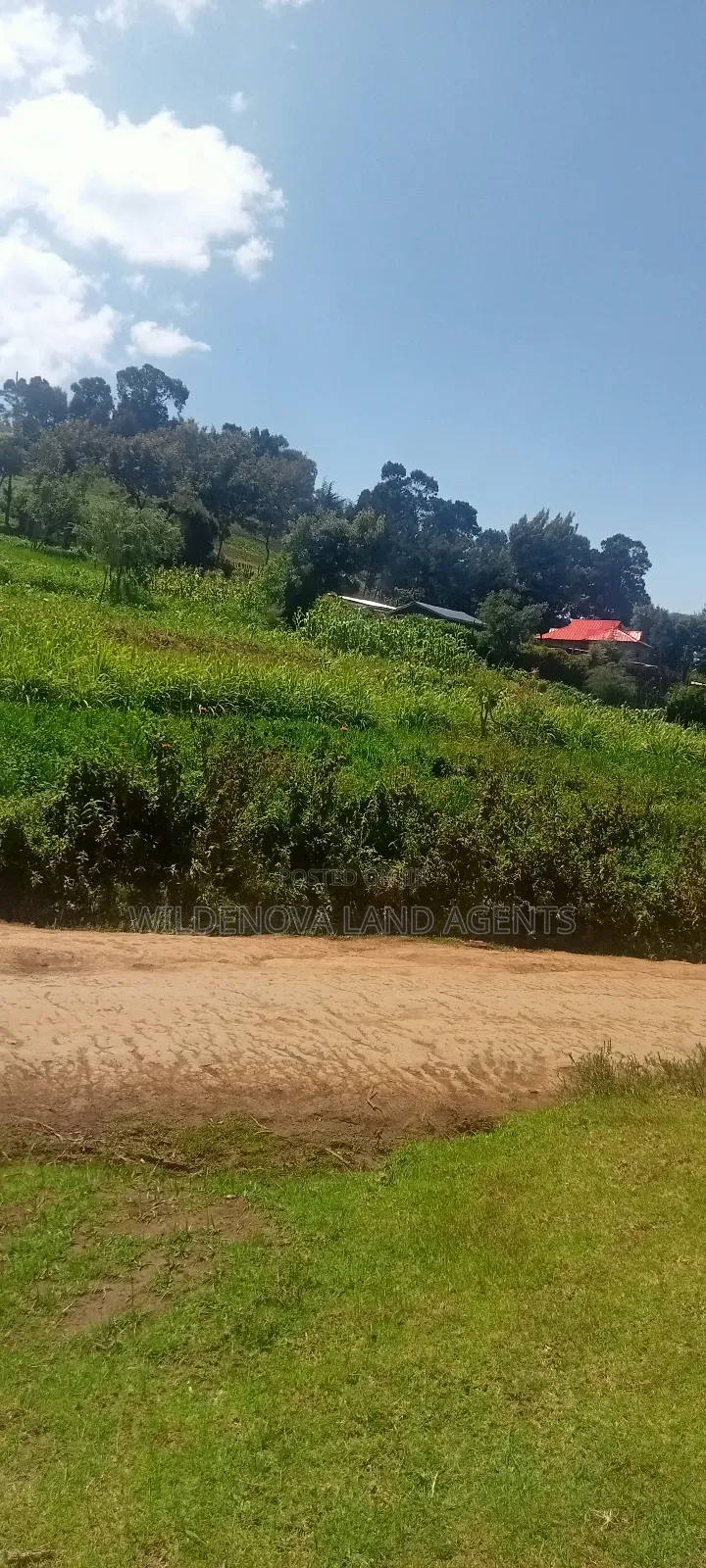 Land on Sale at Flyover Kinangop