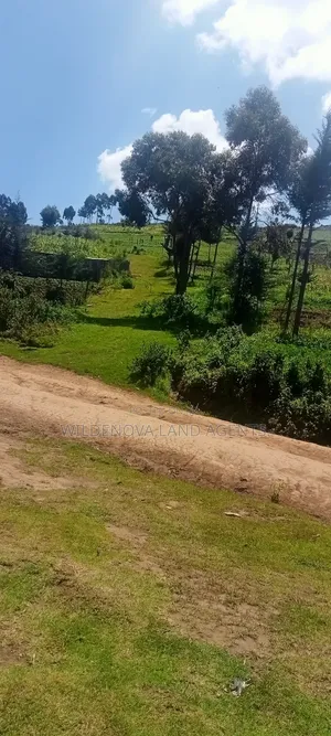 Land on Sale at Flyover Kinangop