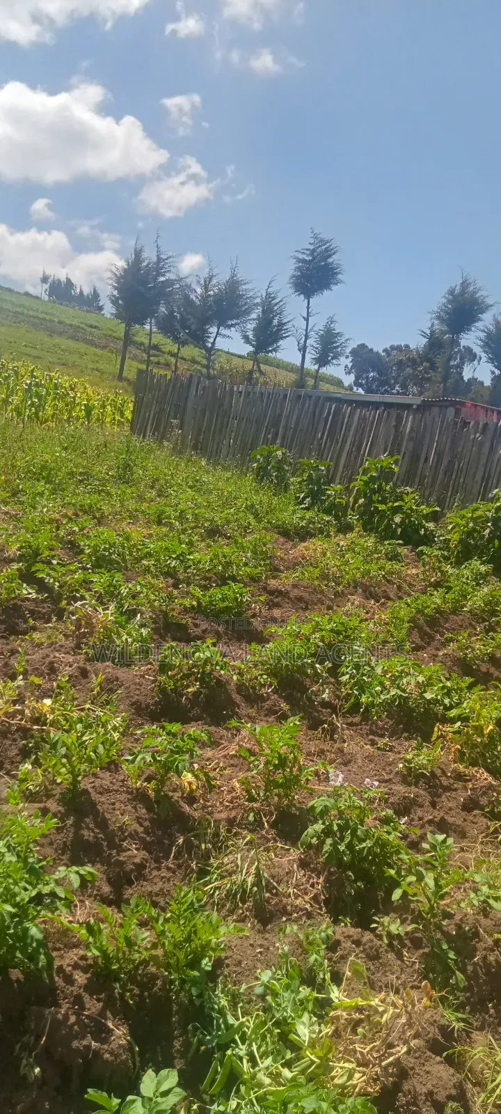 Land on Sale at Flyover Kinangop