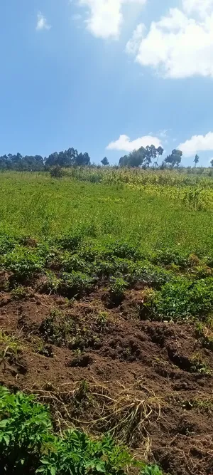 Land on Sale at Flyover Kinangop