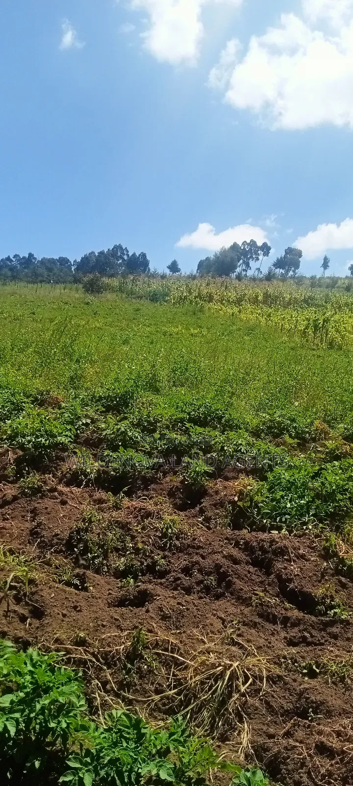 Land on Sale at Flyover Kinangop