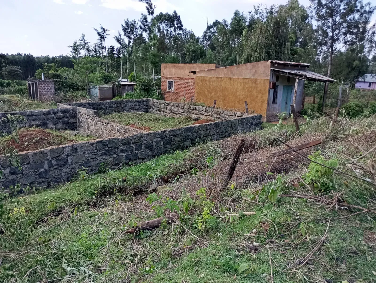 Plot for Sale 50x100